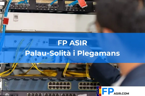 FP ASIR en Palau-Solità i Plegamans